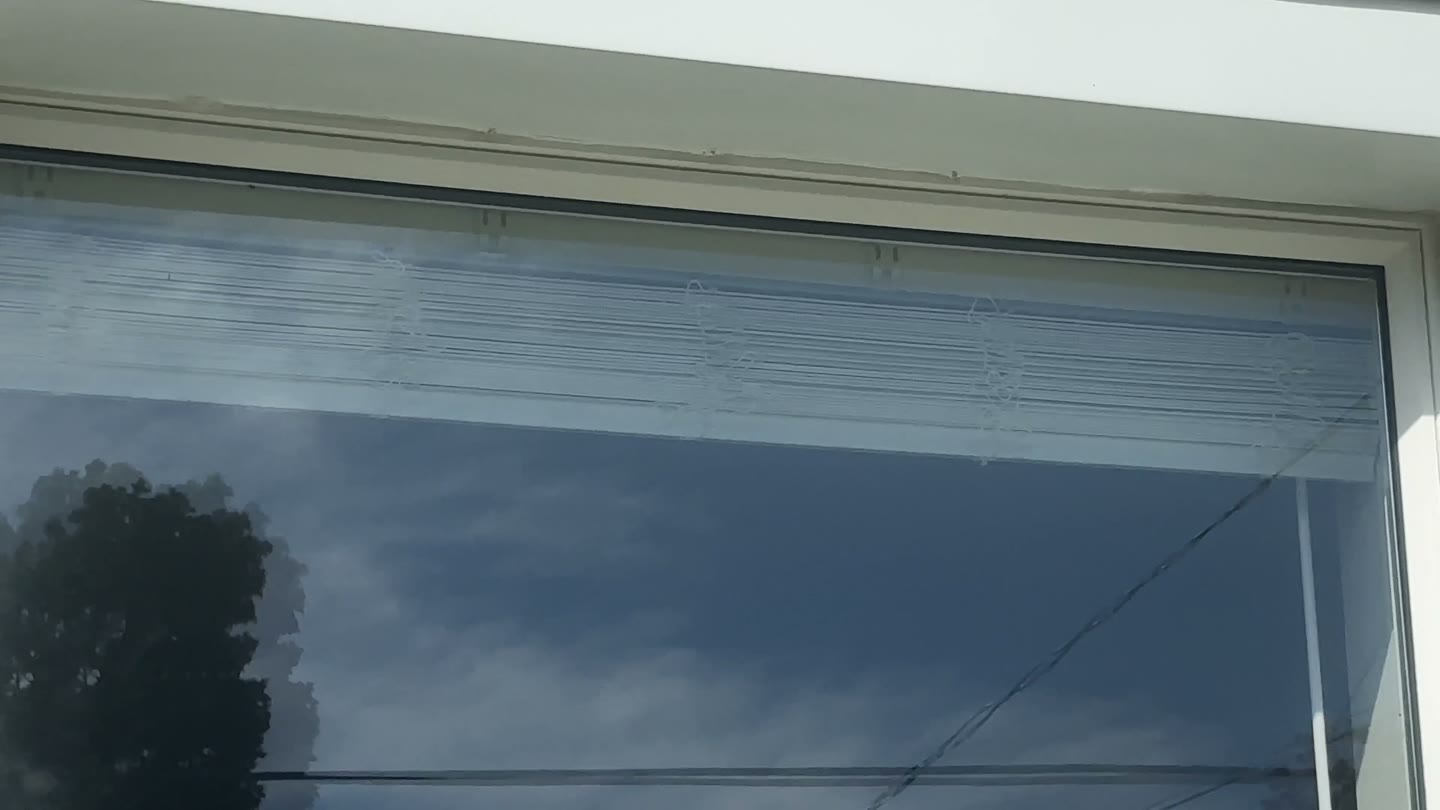 Exterior reflection and edge detail of replacement window glass